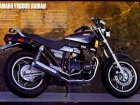 Yamaha YX 600 Radian